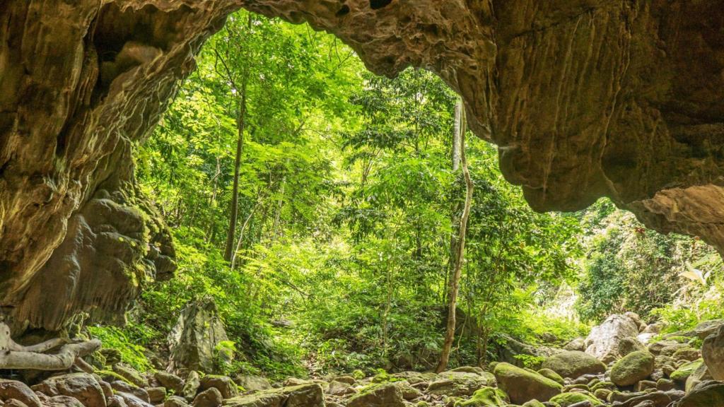 Una cueva en la montaña