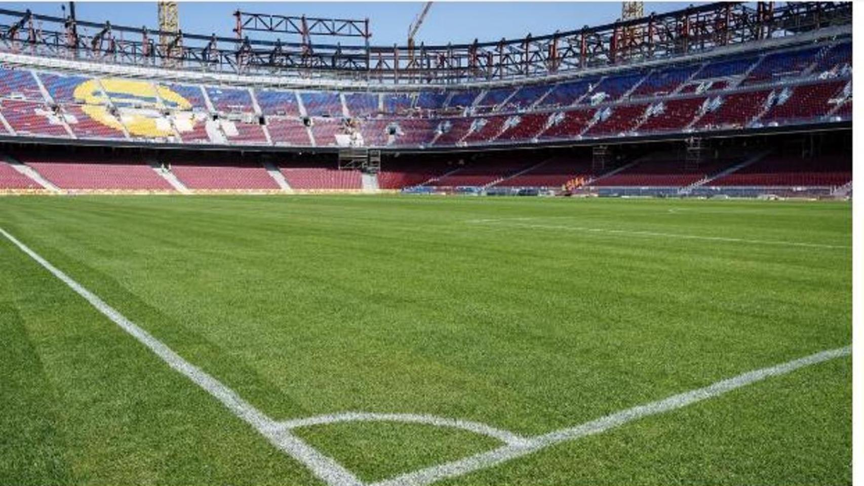 El césped del nuevo Camp Nou, ya instalado