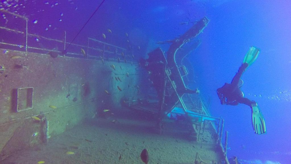 Bussejadors en el pecio del M.S Zenobia, a Làrnaca