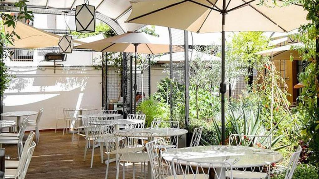 Terraza de Flax & Kale