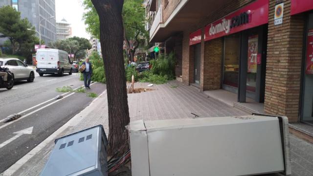 Un coche ha derribado un árbol y un semáforo tras salirse del carril bici en Via Augusta
