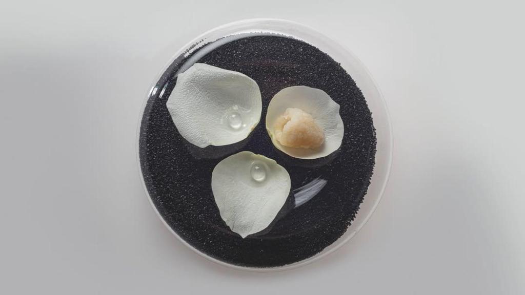 Lichi y rosas a la ginebra