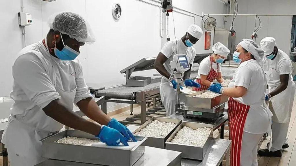 Operarios en la fábrica de Virginias de Reus (Tarragona)