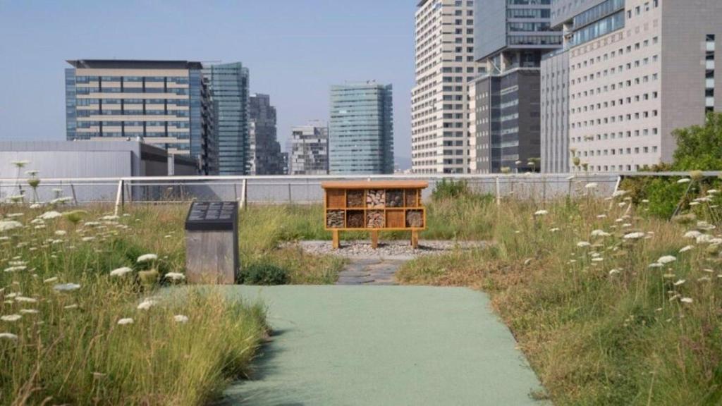 Terrat Viu del Museu de Ciències Naturals