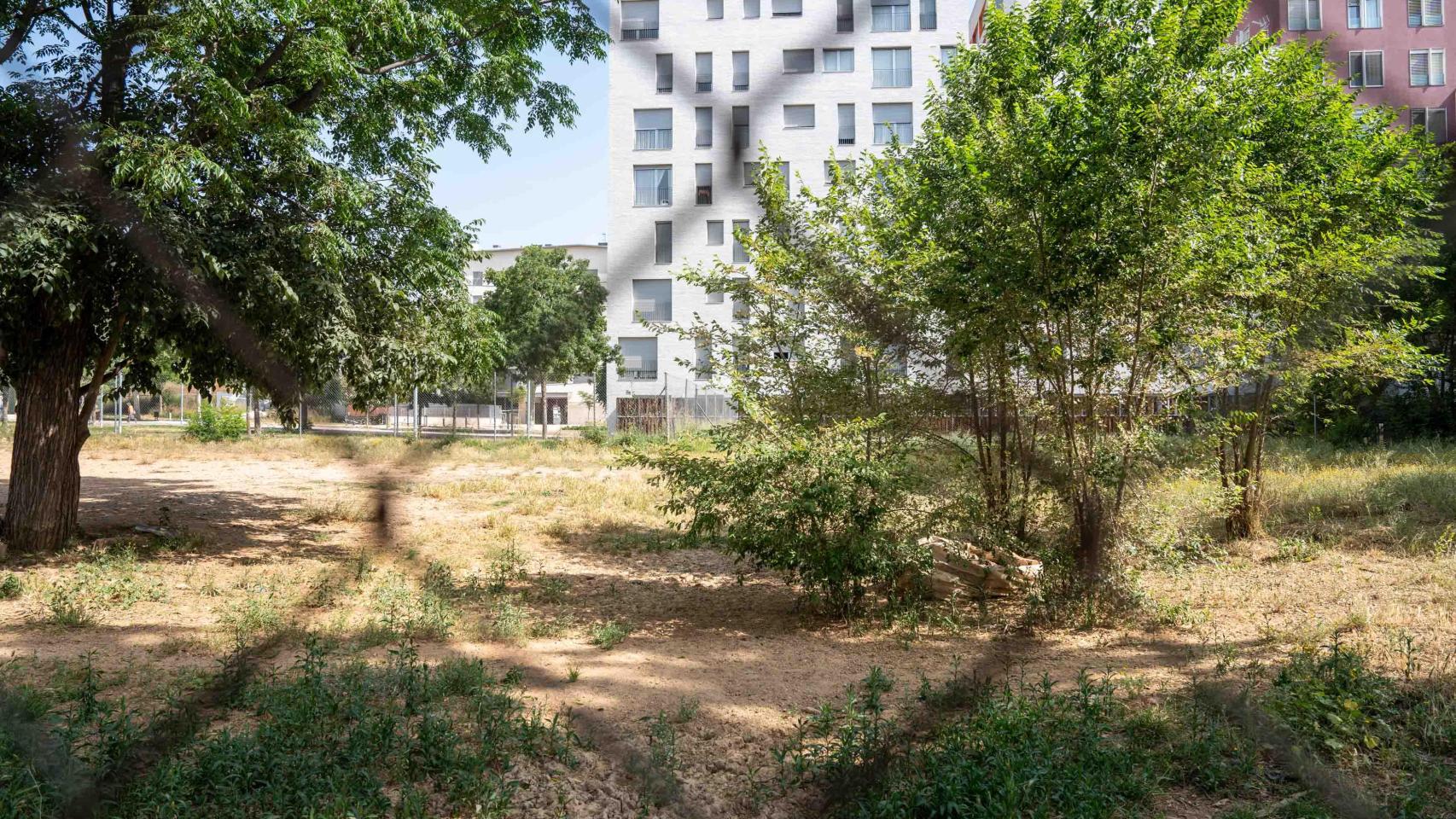 Un solar vacío frente a unos bloques de pisos públicos en las 'Casernes' de Sant Andreu