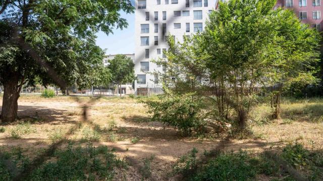 Un solar vacío frente a unos bloques de pisos públicos en las 'Casernes' de Sant Andreu