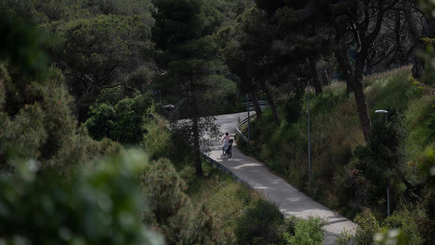 Foto de archivo de Collserola