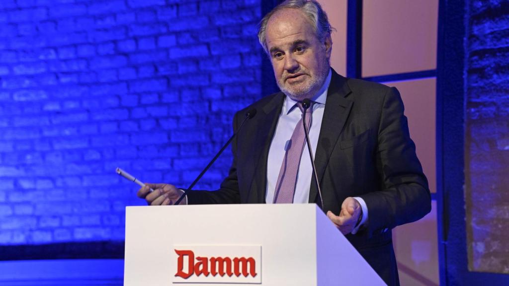 Damm eleva su beneficio un 35% en 2024