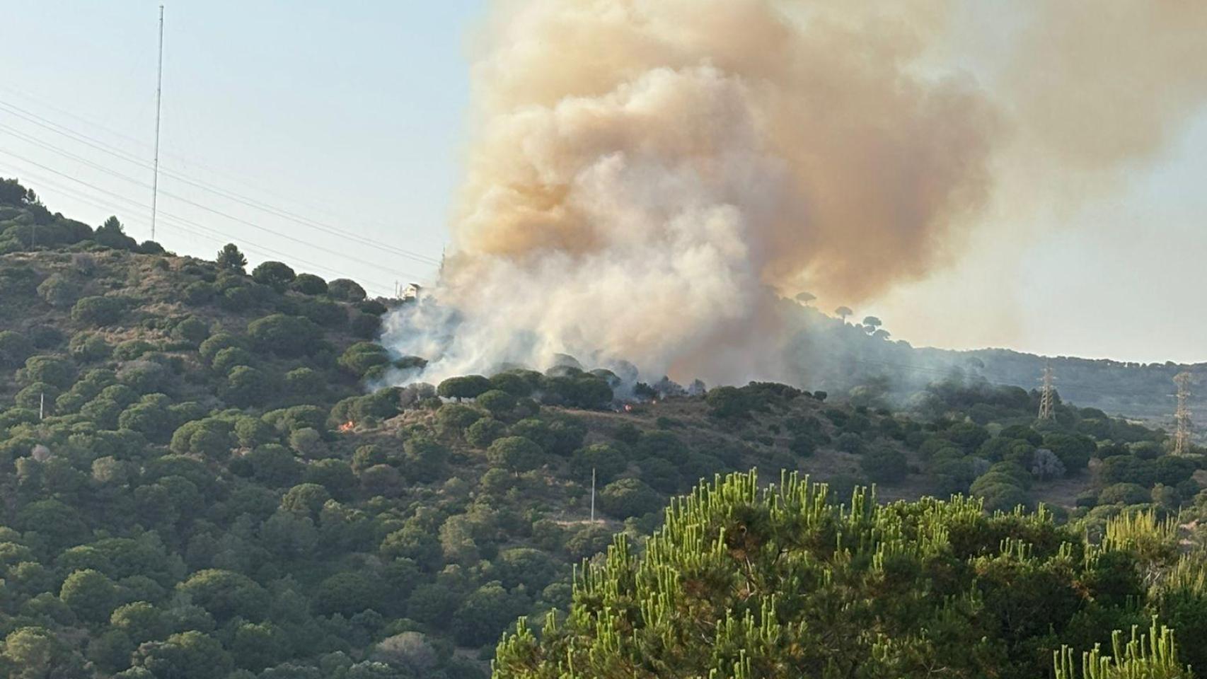 Incendio forestal entre Badalona y Santa Coloma