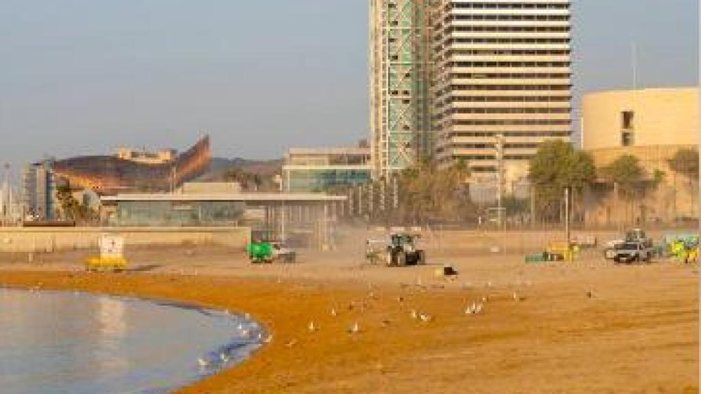 Dispositiu de neteja a les platges de Barcelona després de la revetlla de Sant Joan