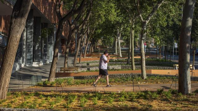 Badalona transforma la rambla de França en un eje verde