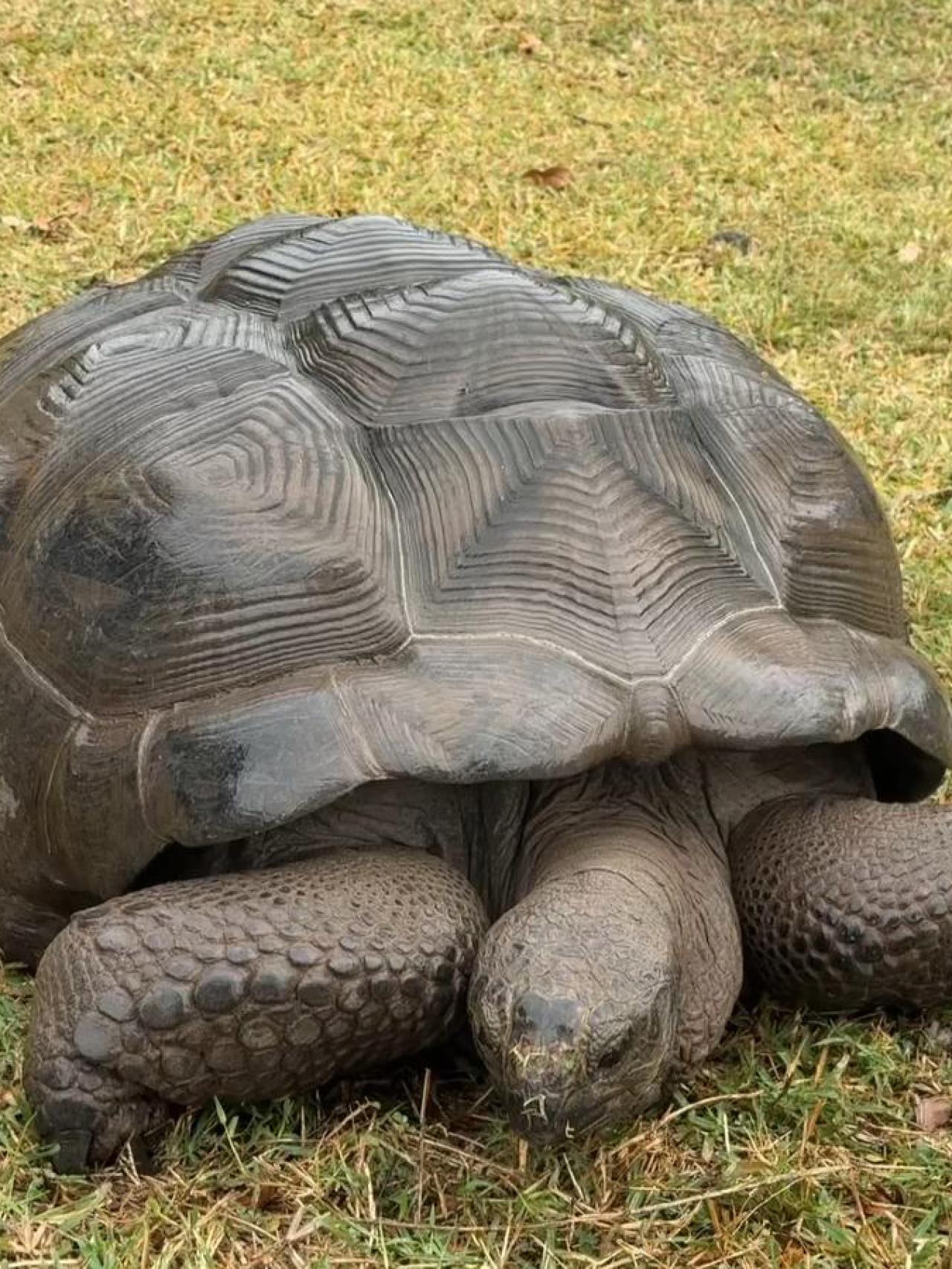 Las vacaciones de Nico Williams y Ainhi García en las Islas Mauricio (4)