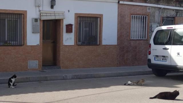 El barrio abandonado de El Prat que resiste la expropiación del Aeropuerto de Barcelona