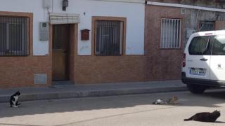 El barrio abandonado de El Prat que resiste la expropiación del Aeropuerto de Barcelona