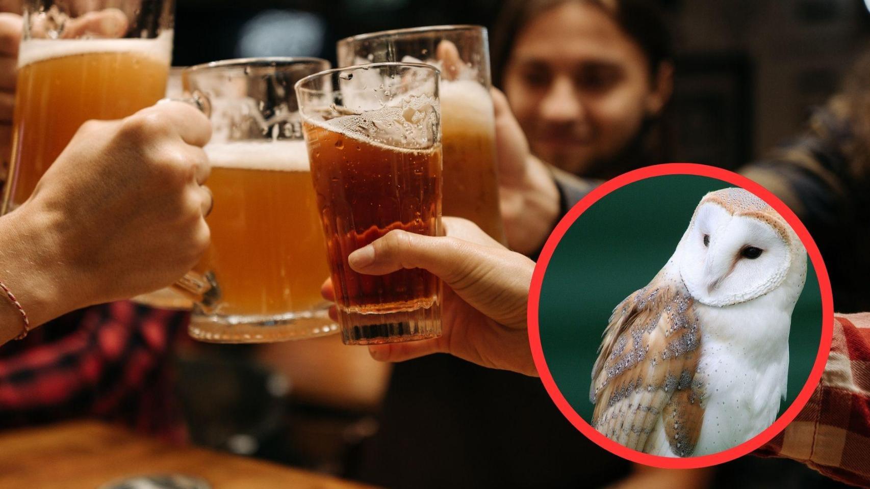 Parece una marca de cerveza, pero es una palabra en catalán y hace referencia a un animal que nadie sabe qué es