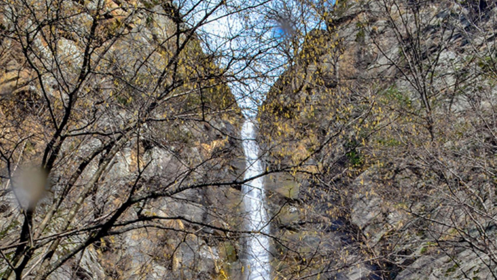 La ruta de 30 minutos que lleva a una de las cascada más bonitas de Cataluña: un espectáculo natural en el interior de Girona