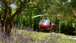 Un helicóptero en medio de un bosque
