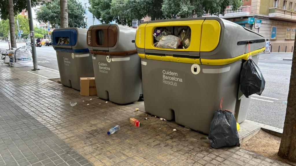 Contenidor desbordat de brossa a Passeig Maragall amb Indústria