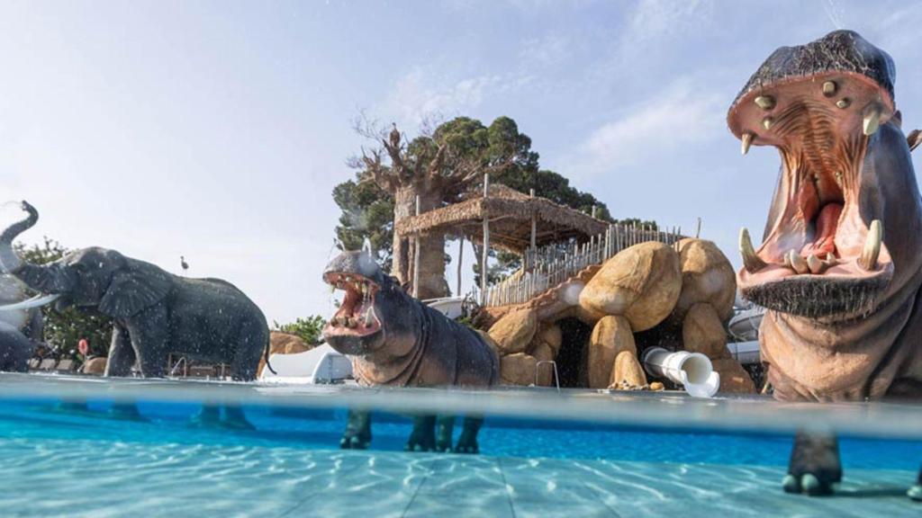 Este es el increíble destino de Cataluña que garantiza un baño entre hipopótamos y elefantes, el camping Sangulí