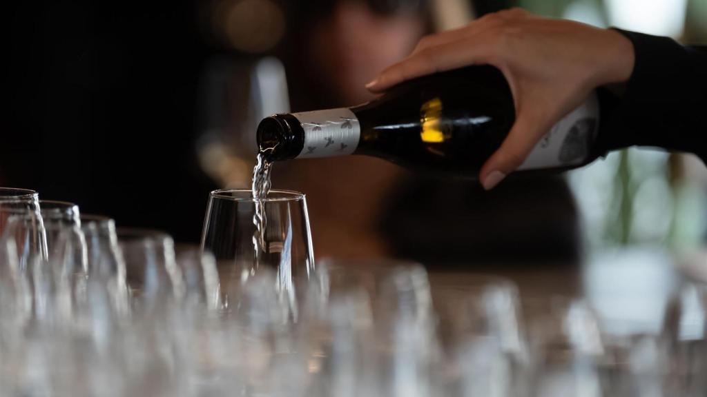 Barcelona lanza un nuevo Plan de Drogas con foco en la prevención y la lucha contra el alcohol