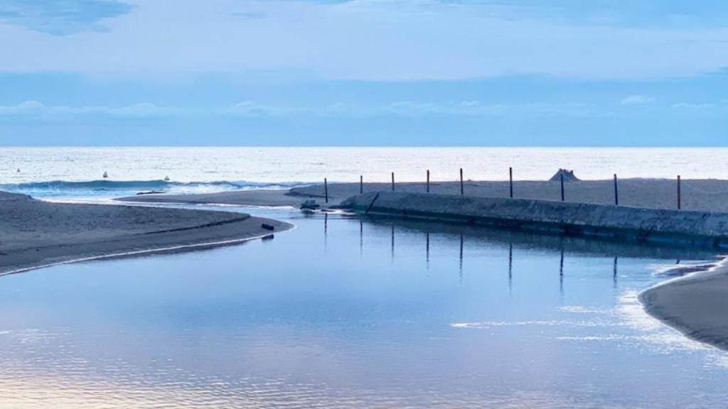 Parque Natural dels Aiguamolls del Empordà
