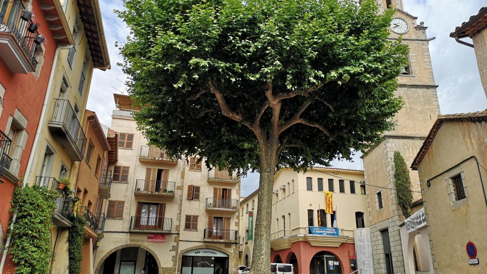 El mejor pueblo para comprarte un piso cerca de Girona, según la IA, Arbúcies