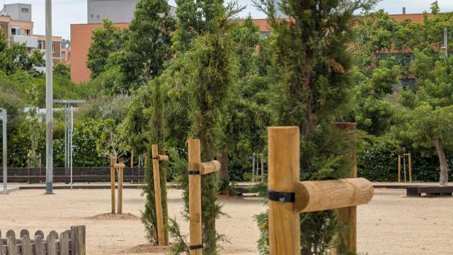 Árboles plantados en Viladecans