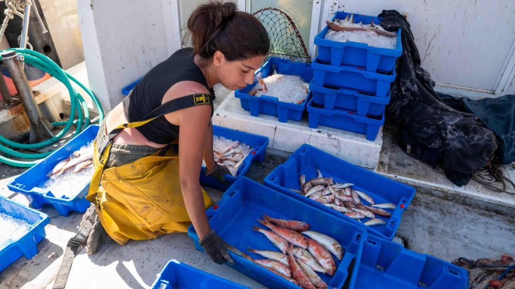 Alba separant el lluçol per després portar-lo a la llotja