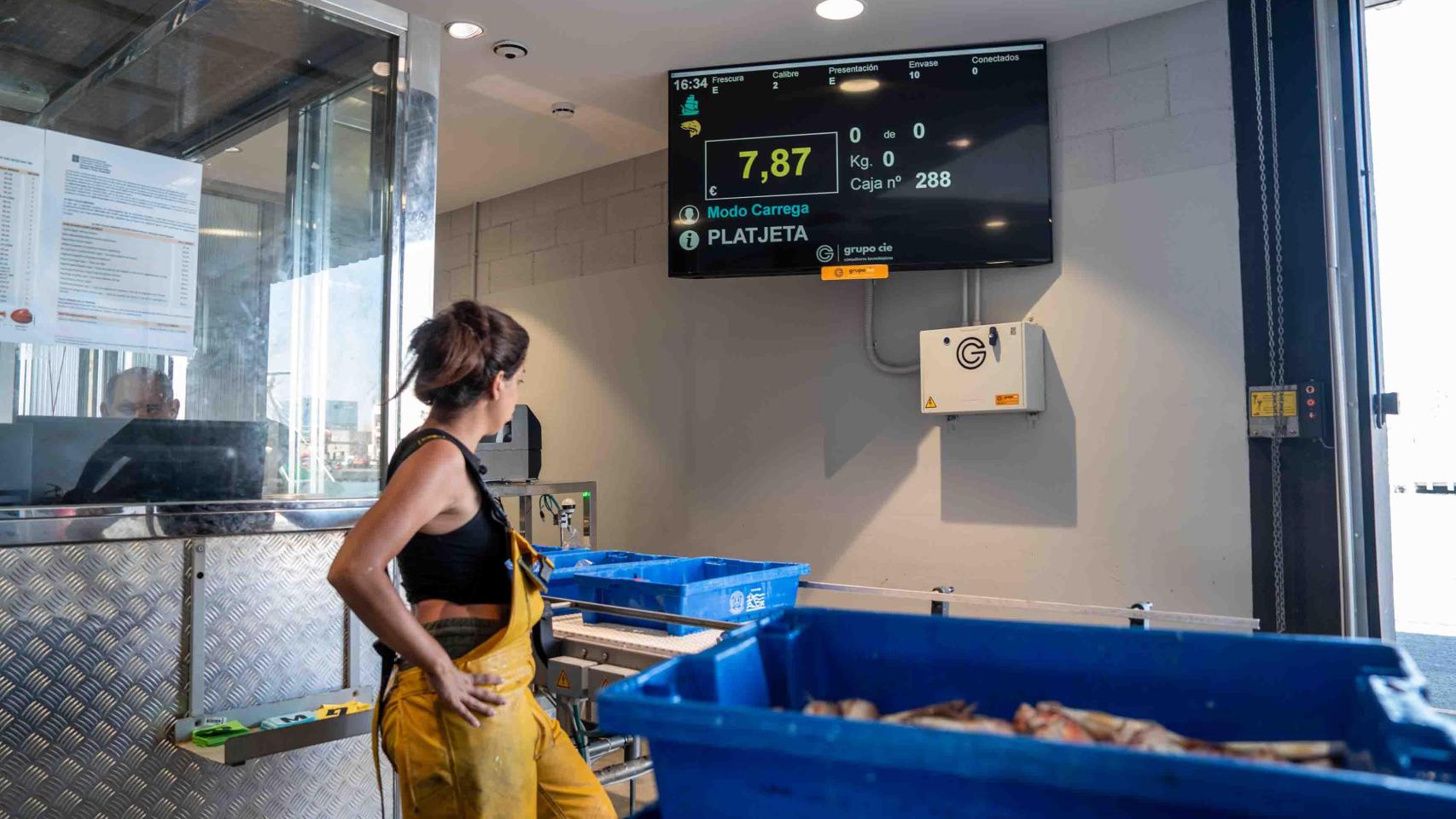 Alba, la pescadora más joven de Barcelona en la lonja del puerto