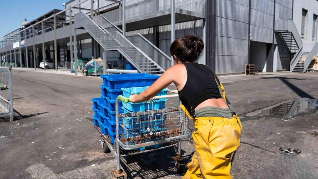 Alba carregant el carretó amb totes les cubetes de camí a la llotja del Port de Barcelona