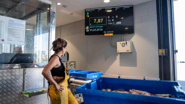 Alba, la pescadora más joven de Barcelona en la lonja del puerto