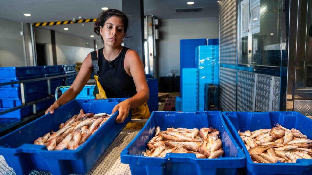 Alba colocando el pescado en la lonja