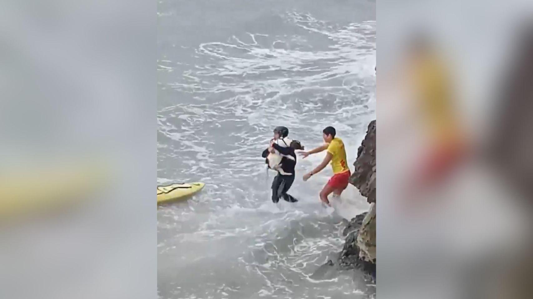 Los Mossos rescatan a un perro asustado que se había quedado atrapado entre unas rocas en una playa de Sitges