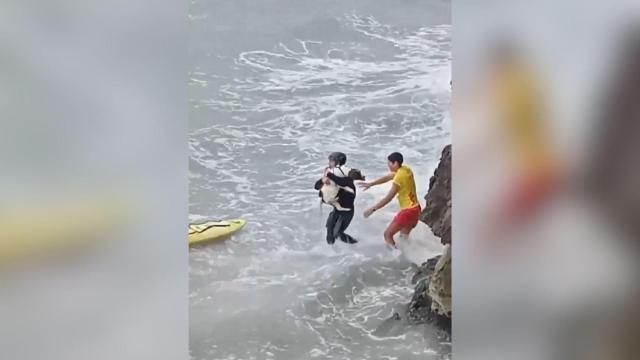 Los Mossos rescatan a un perro asustado que se había quedado atrapado entre unas rocas en una playa de Sitges