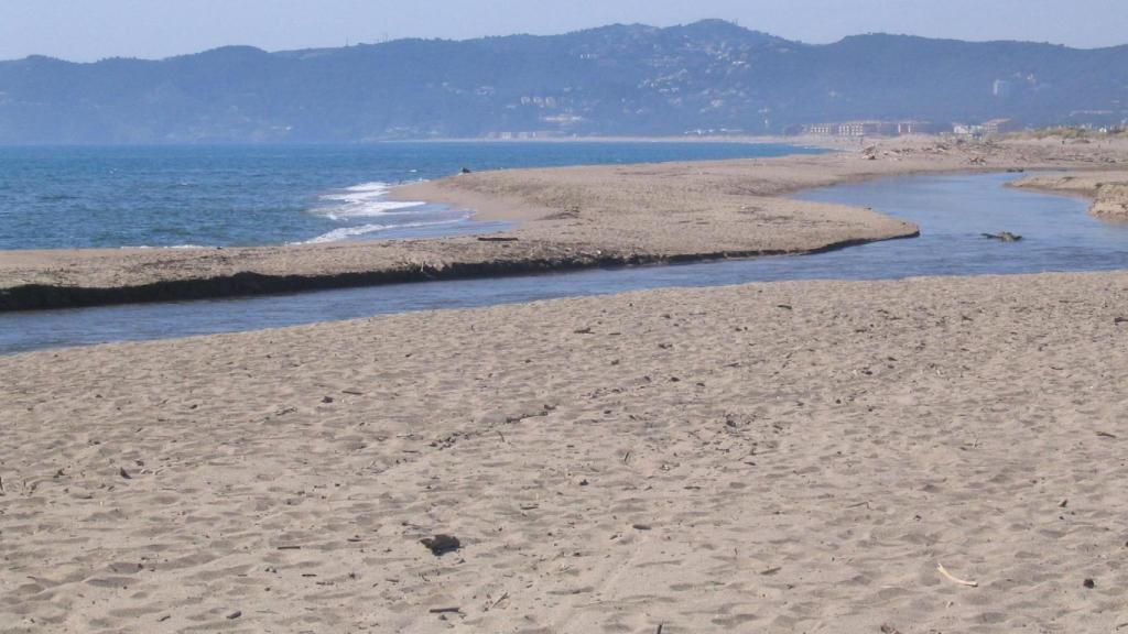 Playa de la Gola del Ter