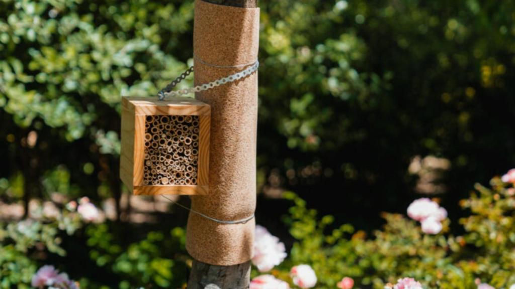 Untitled design - 2025-07-22T152457.379