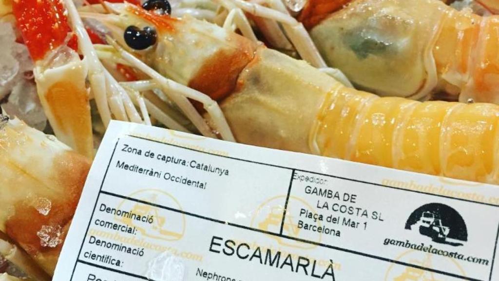 Imatge d'arxiu del restaurant de La Lonja a Barcelona