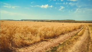 La ruta entre Tàrrega y Guissona que esconde tesoros medivales y un pueblo con alma propia