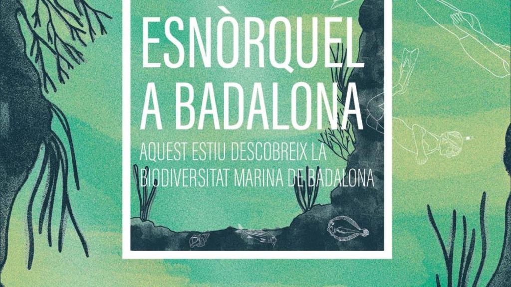 Promoció de l'esnòrquel gratuït a Badalona