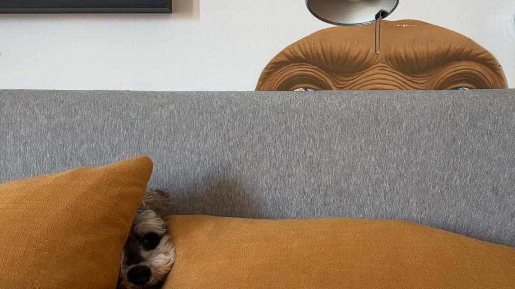 Interior de la casa de Marc Giró a l'Eixample de Barcelona