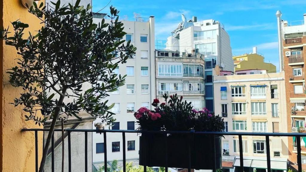 Terrassa de la casa de Marc Giró a l'Eixample de Barcelona