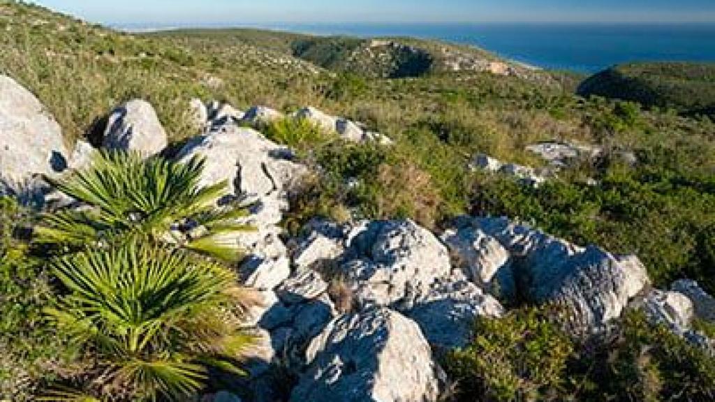 Parc Natural del Garraf
