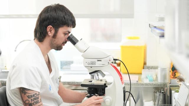 Presentación del proyecto Den-Aut en el Hospital Universitario Vall d'Hebron de Barcelona