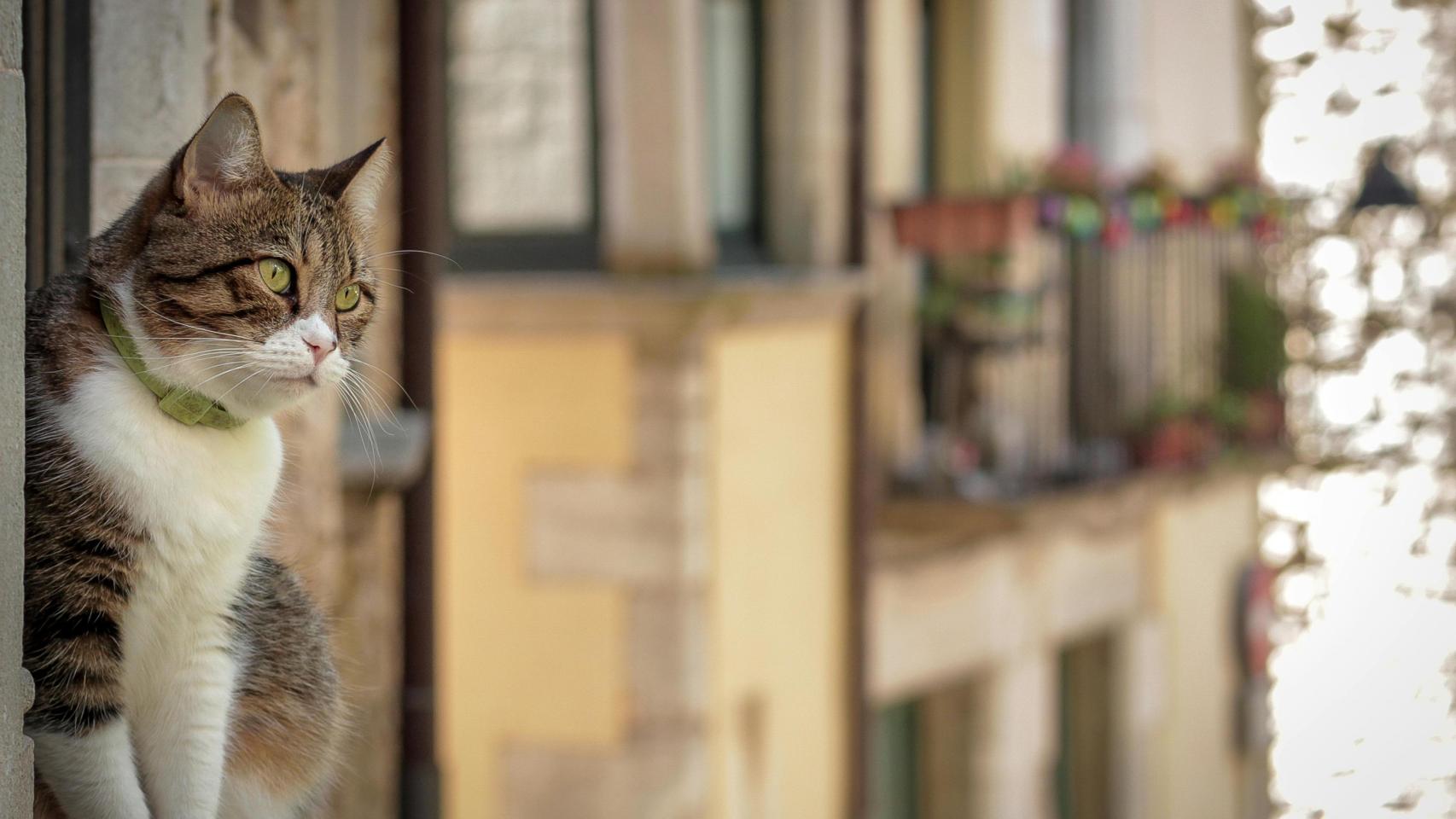 Así es uno de los barrios más marginados de Girona, la Font de la Pólvora