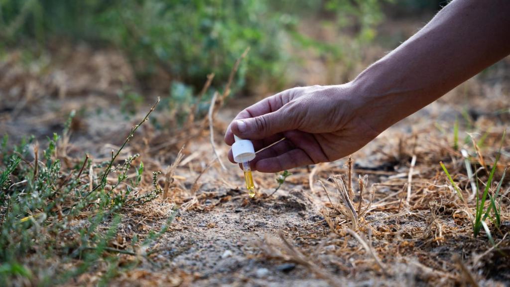 Los Agents Rurals ponen el señuelo para entrenar a los perros en la búsqueda de acelerantes de incendios en el terreno