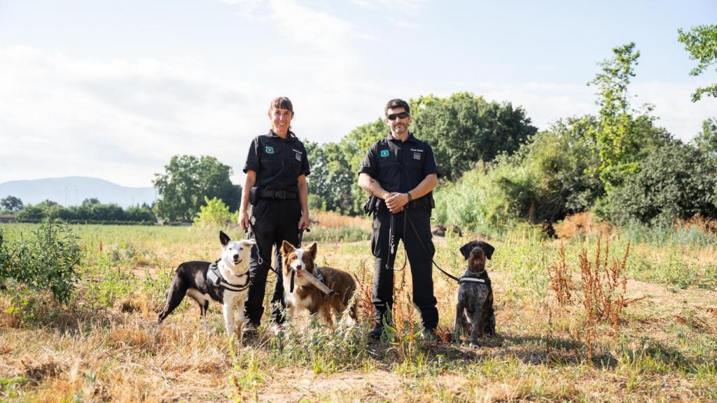 Ana Subirós y Xavier Brenchat, miembros del Grupo Especial Canino (GEK9) de Agents Rurals, junto a los agentes caninos Coli, Zas y Sua