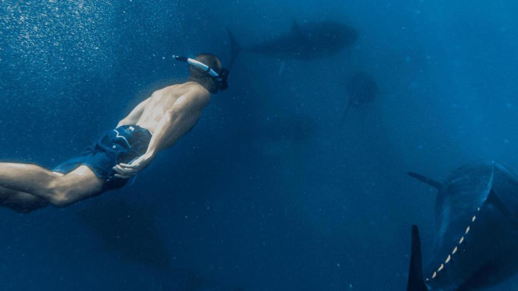 Actividad de snorkel