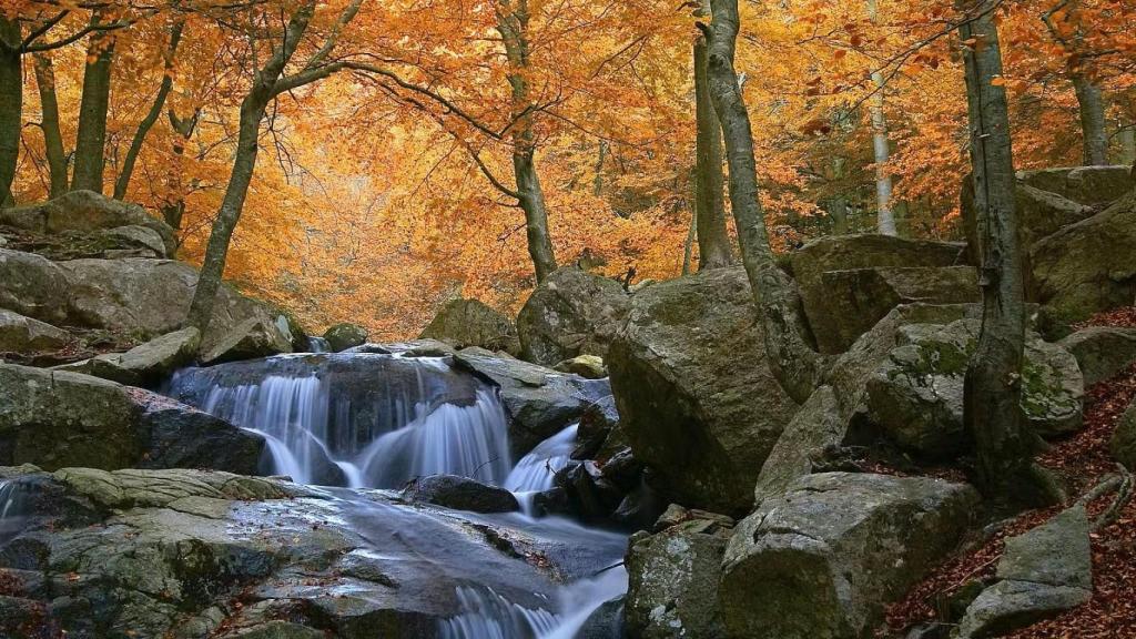 Parque Natural del Montseny