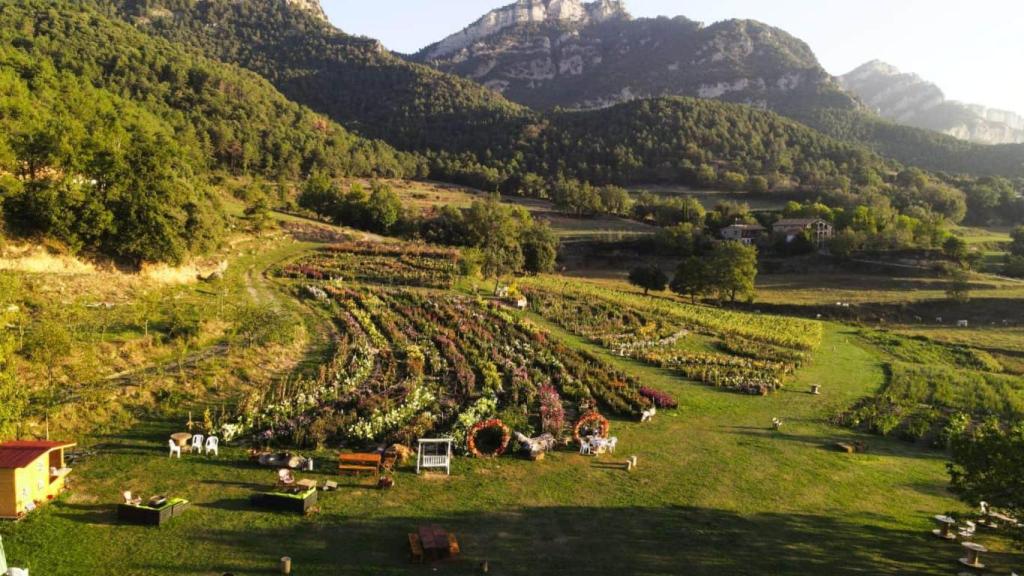 Vista aérea de Niudàlia
