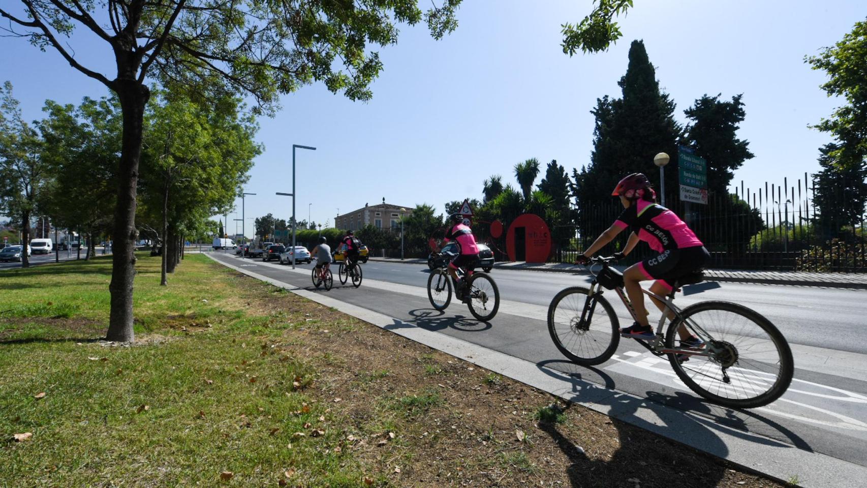Ciclistas pedalean por un carril bici de Bicivia en el área metropolitana